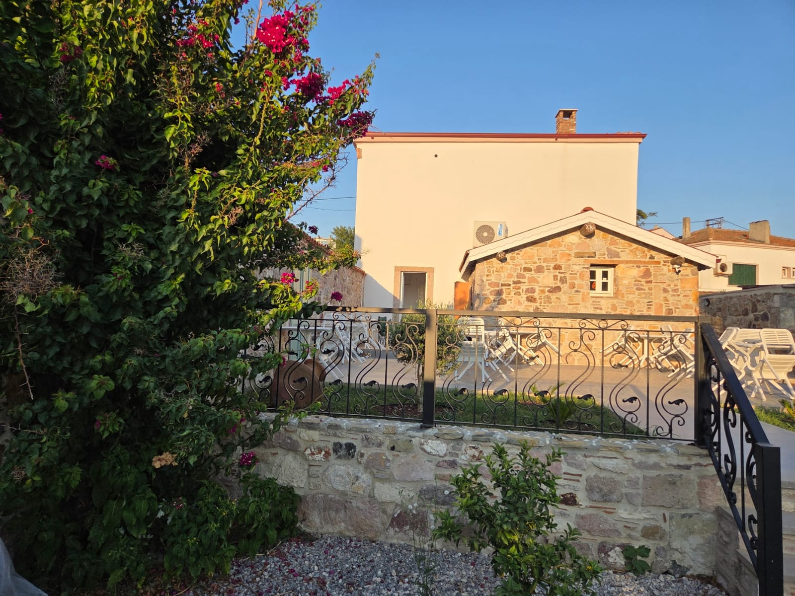 Begonvillerin ardında Cunda Milos'un taş evi ve bahçesi
